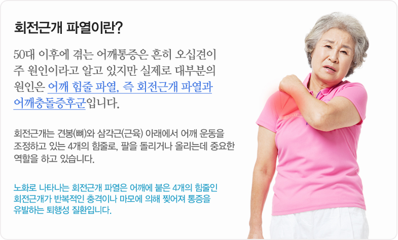 회전근개 파열이란? 50대 이후에 겪는 어깨통증은 흔히 오십견이 주 원인이라고 알고 있지만 실제로 대부분의 원인은 어깨 힘줄 파열, 즉 회전근개 파열과 어깨충돌증후군입니다. 회전근개는 견봉(뼈)와 삼각근(근육) 아래에서 어깨 운동을 조정하고 있는 4개의 힘줄로, 팔을 돌리거나 올리는데 중요한 역할을 하고 있습니다. 노화로 나타나는 회전근개 파열은 어깨에 붙은 4개의 힘줄인 회전근개가 반복적인 충격이나 마모에 의해 찢어져 통증을 유발하는 퇴행성 질환입니다.